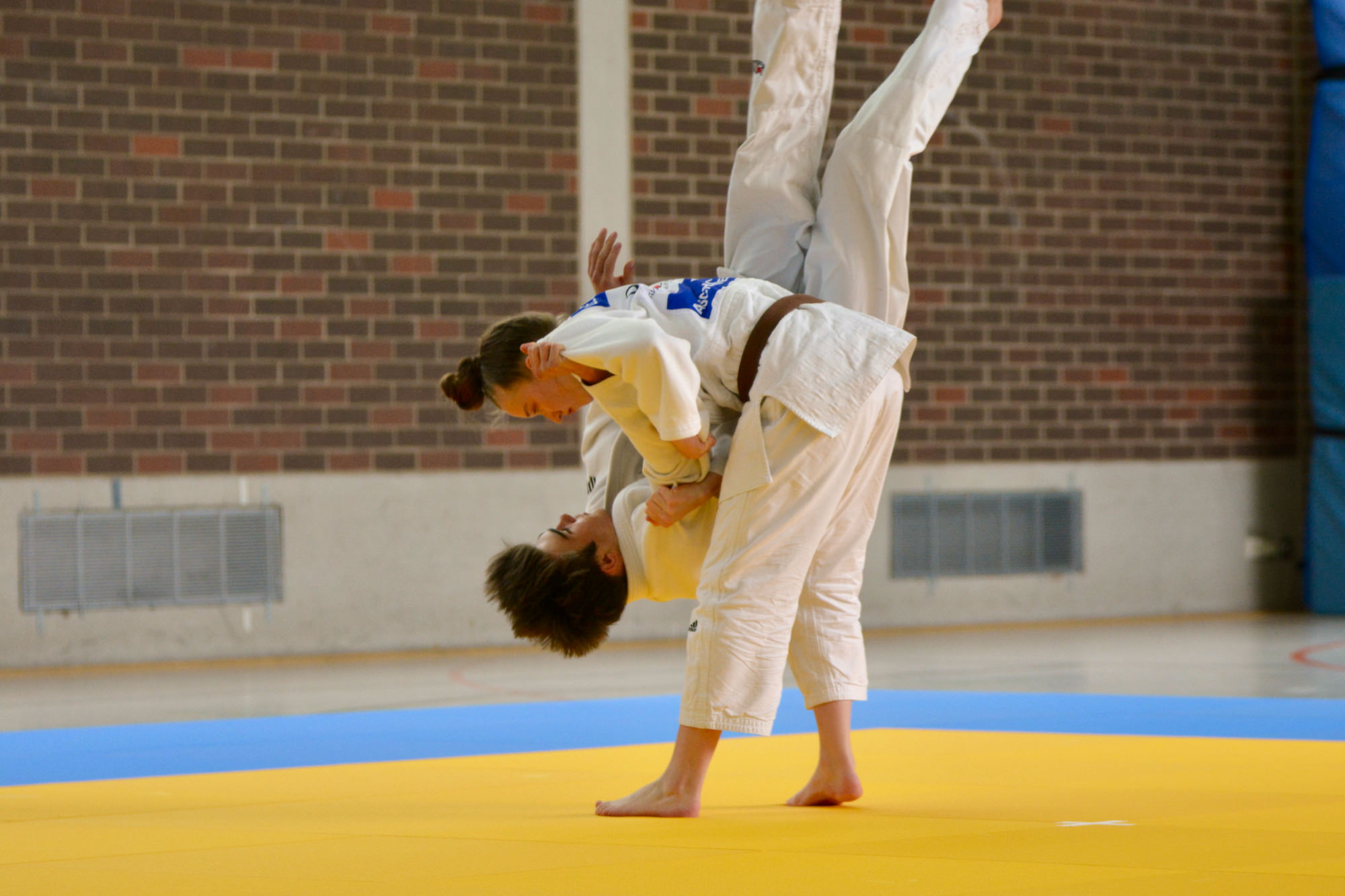 Erfolgreiche Danprüfung in Aschaffenburg Judoteam DJK Aschaffenburg